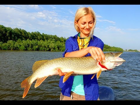 Видео: Катя Татуревич: я просто однажды поймала рыбу! Часть 1