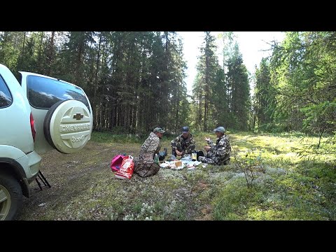 Видео: МЕСТНЫЕ ПОКАЗАЛИ ВСЕ ХАРЮСОВЫЕ РЕКИ И РУЧЬИ. ЦАРСТВО БЕЛЫХ ГРИБОВ И ГЛУХАРЕЙ \ РЫБАЛКА НА ХАРИУСА .