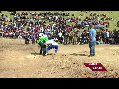 Видео: Гӯштин дар Шамсиддин Шоҳин. Шоҳҷоизаро як сарбоз моли худ кард