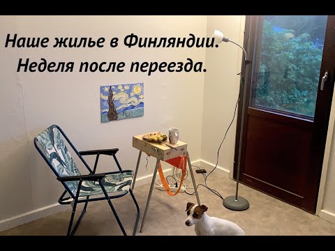 Видео: Жилье в Финляндии. Ривитало в Оутокумпу. Переезд с собакой.