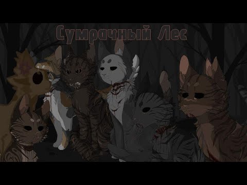 Видео: Сумрачный лес|Woodshed| Разбор