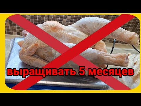 Видео: Неудачный эксперемент. Вес петушков ц. бройлера Гриз Бар в 5 месяцев