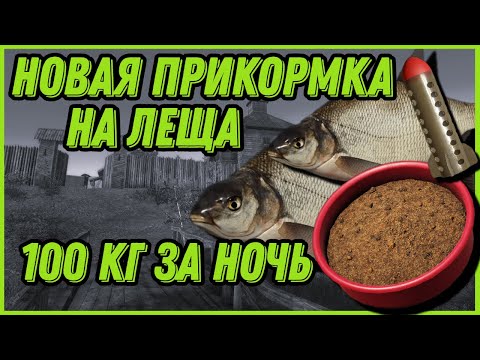 Видео: НОВАЯ ПРИКОРМКА НА ЛЕЩА | 100 КГ ЛЕЩА ЗА НОЧЬ | Старый Острог | Русская Рыбалка 4