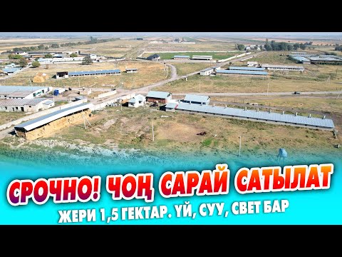 Видео: Чоң САРАЙ, жашай турган ҮЙҮ менен шашылыш сатылат ~ Жери 1, гектар. Суу, свет бар. Документи так