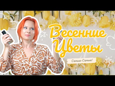 Видео: Лучшие Ботанические Ароматы: Сирень, Мимоза, Османтус и Цветы, Которые Пахнут Как Живая Весна