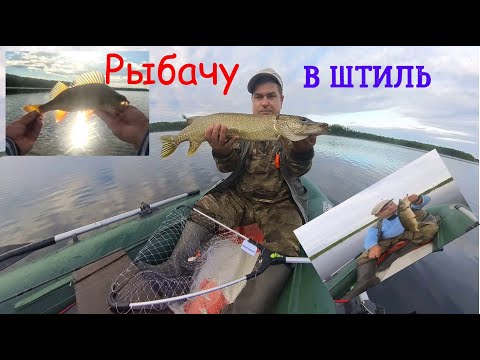 Видео: Рыбалка в штиль вечер и утро