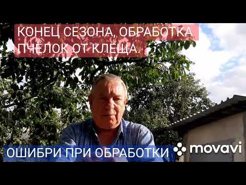 Видео: Обработка пчелок от клеща. 