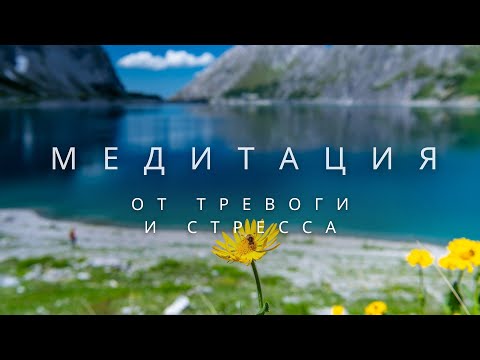 Видео: 🎧 Медитация от ТРЕВОГИ и стресса | 15 минут ПОКОЯ, расслабления и внутреннего равновесия