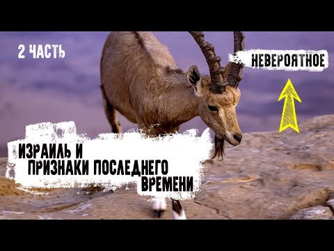 Видео: Израиль. Признаки последнего времени. Невероятное. Часть 2