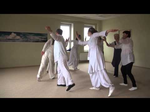 Видео: ДВИЖЕНИЯ ГУРДЖИЕВА,Александр Бельцер (Тушир)-23 марта 2014-. 00224