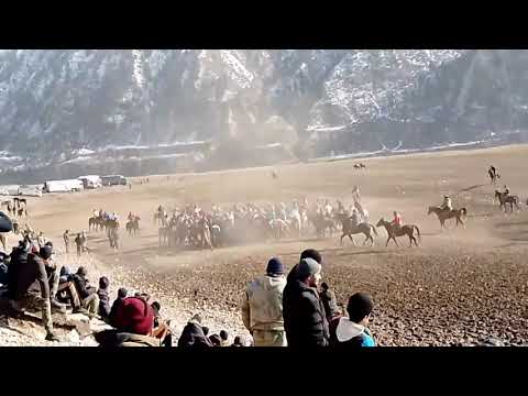 Видео: Маъракаи бузкаши дар нохияи. Нуробод. 26.01.2025