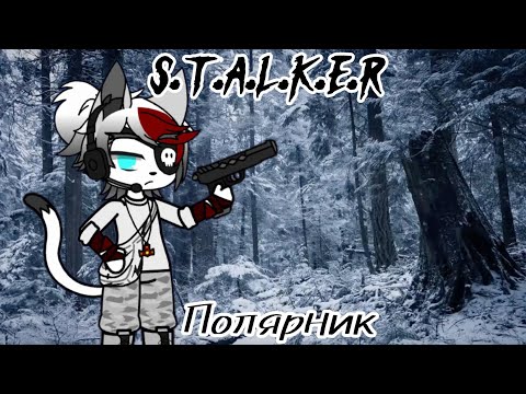 Видео: S.T.A.L.K.E.R: Полярник/Разведка Долина Вечной Зимы/Одинокий