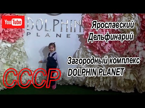 Видео: Ярославский дельфинарий. Загородный комплекс  DOLPHIN PLANET