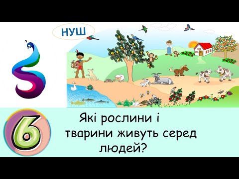 Видео: Які рослини і тварини живуть серед людей