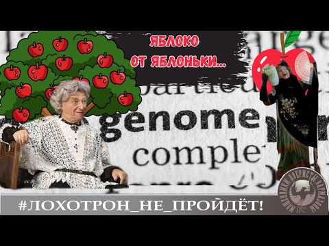 Видео: Яблоко от яблоньки. :) (Авторы - Роза и Розовая Мама)