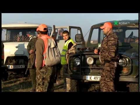 Видео: Ловен излет за див заек край Кърджали - 2ра част