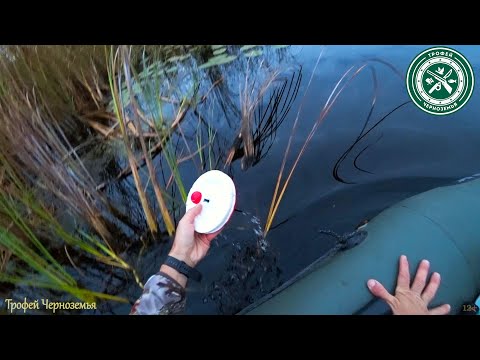 Видео: ПОСТАВИЛ КРУЖКИ НА БОЛОТЕ И БЫЛ В ШОКЕ ! Ловля щуки 2023