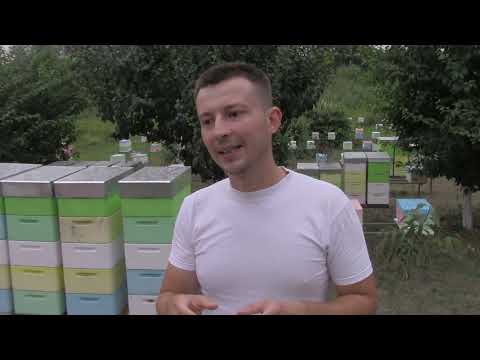 Видео: Китайские полоски от клеща!