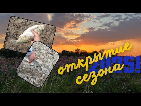 Видео: Открытие сезона. Неожиданные ТРОФЕИ. Ловим на ПИЯВКИ и червя.