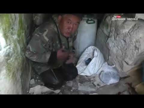 Видео: засолка рыбы и хранение в леднике