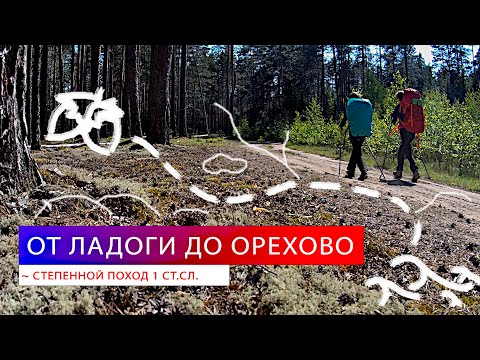 Видео: Поход от Ладожского озера в посёлок Орехово
