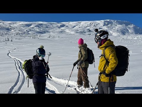 Видео: 2 ноября 2024 в Шерегеше