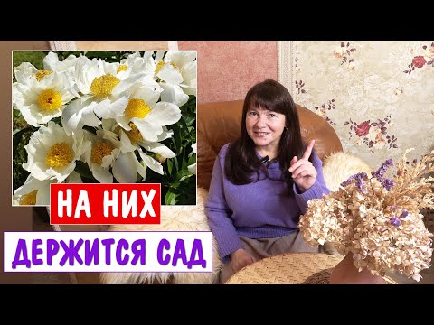 Видео: КРАСИВЫ ВЕСЬ СЕЗОН! Этих растений должно быть как можно больше в саду.