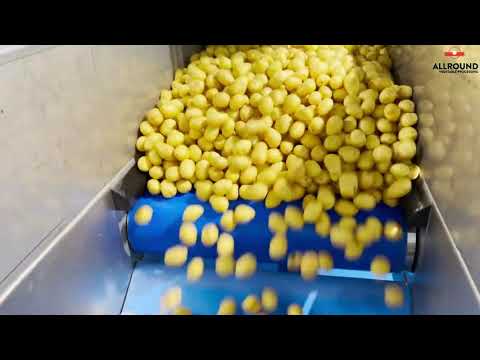 Видео: Линии мойки и сортировки картофеля Allround V.P.