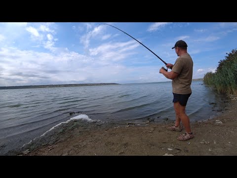 Видео: Риболовля в лимані, клюе весь день