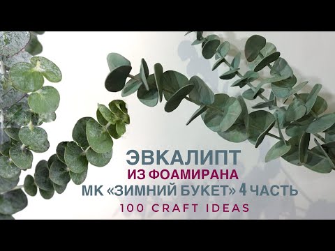 Видео: Эвкалипт из фоамирана. МК "Зимний букет из фоамирана". Часть 4. Как сделать эвкалипт. DIY