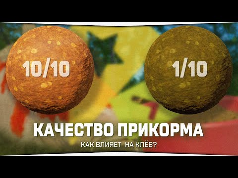 Видео: Как влияет качество прикорма на клёв в игре Русская Рыбалка 4