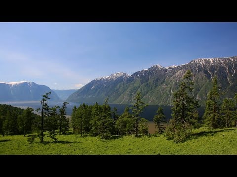 Видео: Золотое озеро Телецкое