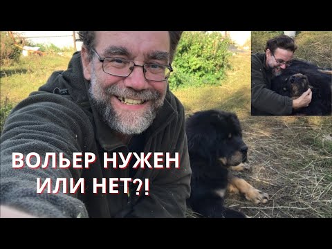 Видео: ВОЛЬЕР тибетскому мастифу нужен или нет?!