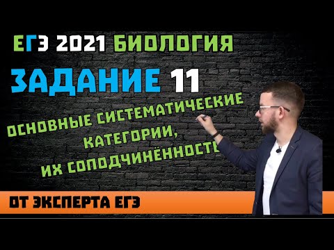 Видео: 11 задание ЕГЭ | Основные систематические категории, их соподчинённость | БИОЛОГИЯ ЕГЭ 2021