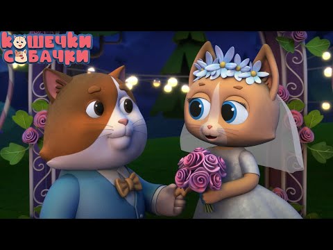 Видео: Кошечки - Собачки - Приглашение - Серия 91