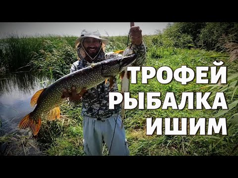 Видео: Поймал гигантскую рыбу на спиннинг!
