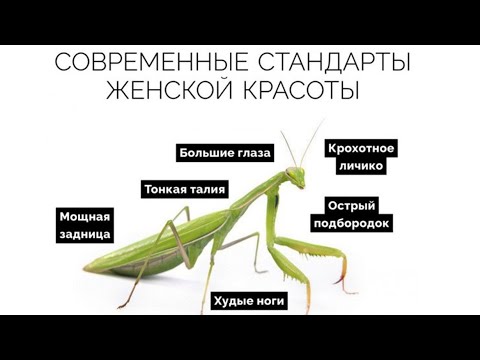 Видео: Дисморфофобия. Часть 2.