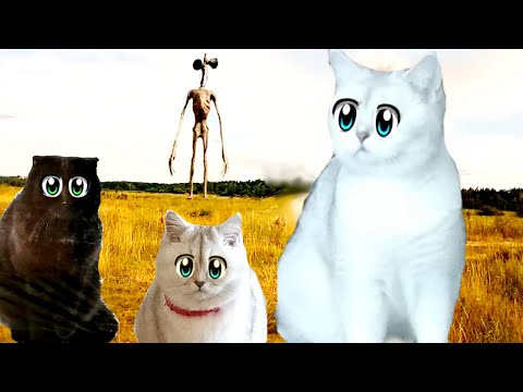 Видео: Охота на СИРЕНОГОЛОВОГО в Реальной Жизни! КОШКИ ДЕРЖАТ ОБОРОНУ!!!