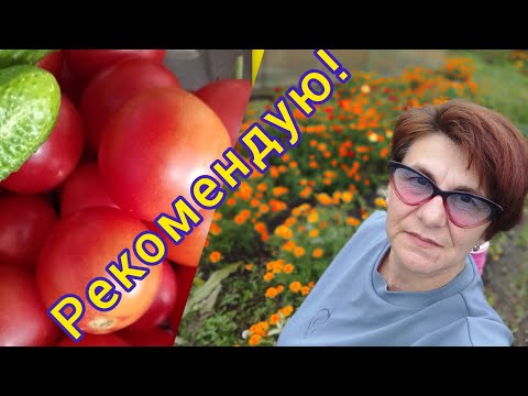 Видео: Лучшие сорта томатов 2025! 🍅👍
