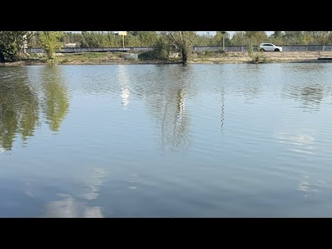 Видео: Сімейний блог в прямом эфире!