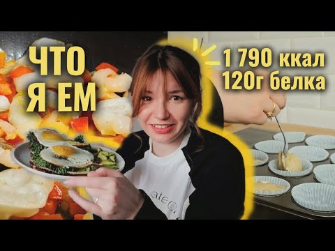 Видео: Что я ем за день на рекомпозиции | Здоровое питание и простые рецепты