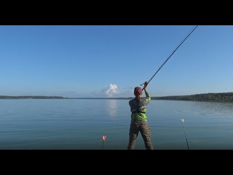 Видео: Рыбалка на Волге с ночевкой. Макароны с рыбой. Что будет с YouTube?!