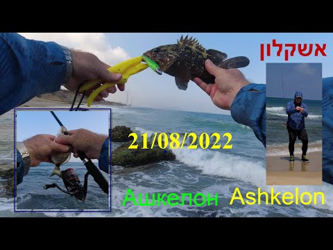 Видео: 4K 21/08/2022 Ashkelon אשקלון Ашкелон fishing דיג рыбалка ласкирь морской карась групер לוקוס סרגוס