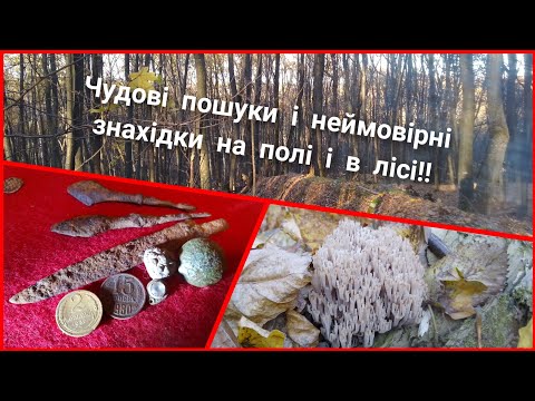 Видео: "Ліс скарбів" продовжує дарувати чудові знахідки!!