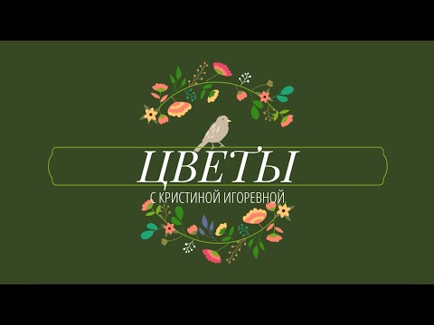 Видео: Знакомство с цветами