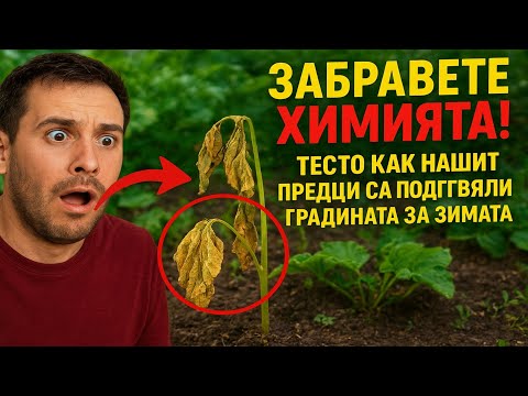 Видео: ЗАБРАВЕТЕ ХИМИЯТА! Ето как нашите предци са подготвяли градината за зимата (Ще останете шокирани!)