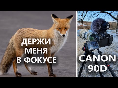 Видео: CANON 90D: ОБЗОР спустя год использования. Отзыв о ФОТО- и ВИДЕОсъёмке птиц и других животных