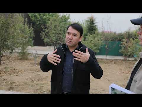 Видео: ҲОКИМЛИК ЯШИЛ ҲУДУДЛАРНИ ЙЎҚ ҚИЛИШДА ДАВОМ ЭТМОҚДА❗НАВБАТ ЮНУСОБОДГА❗@rasul.kusherbayev