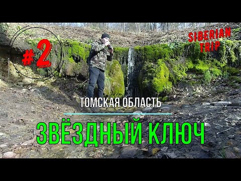 Видео: Велопутешествие Звёздный Ключ Томск Часть 2 #велопутешествие #велопоход #томск