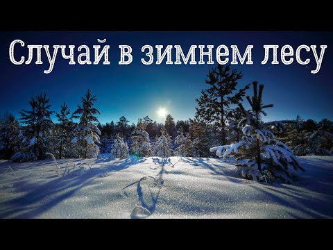 Видео: Страшная история. Случай в зимнем лесу.